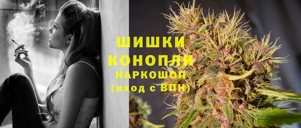 прущие крисы Абаза