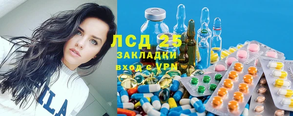 прущие крисы Абаза