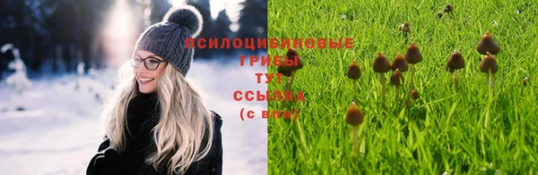 каннабис Абдулино