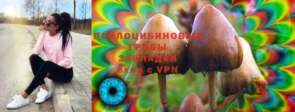 ГАЛЛЮЦИНОГЕННЫЕ ГРИБЫ Абинск
