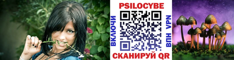 Галлюциногенные грибы Psilocybe  Калининград 